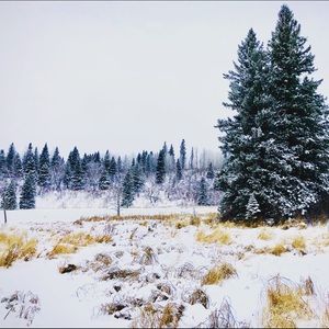 Meet your Posher, Laurie